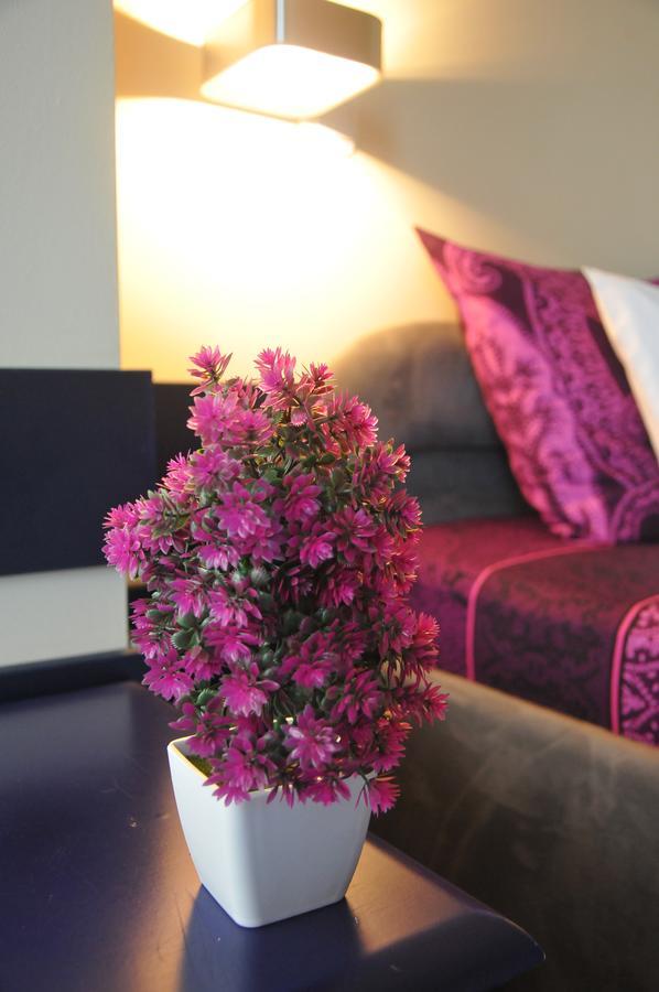 Ni Hotel Vidikovac מראה חיצוני תמונה