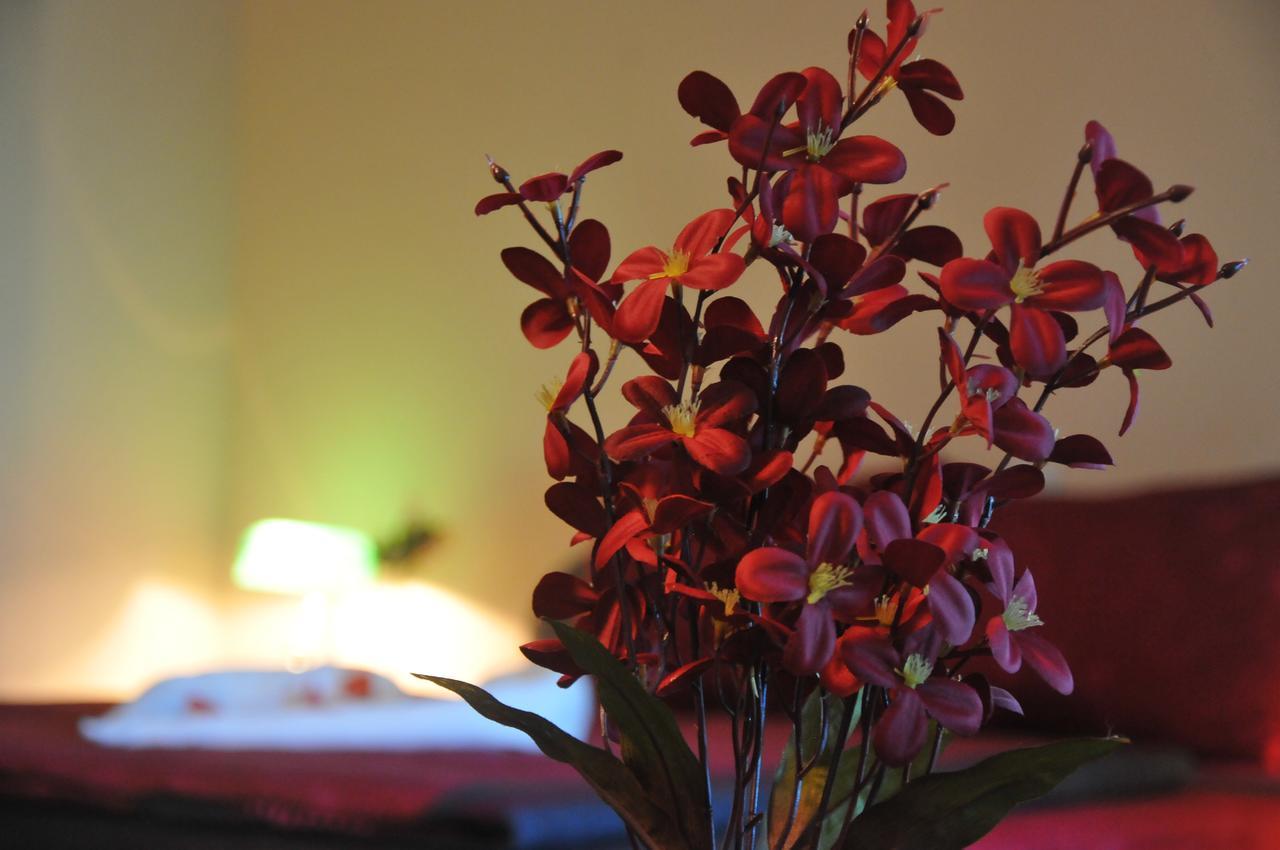 Ni Hotel Vidikovac מראה חיצוני תמונה